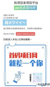 项目对接平台:加速项目合作的得力工具-首码项目网