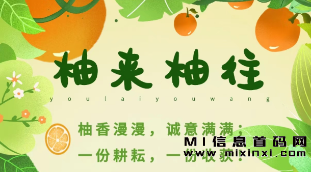 选择稳定长久的柚来柚往小柚仙项目！-首码项目网