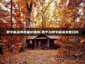 首码项目数字藏品:了解各平台数字藏品发售日历,是否具备收藏价值?-首码项目网