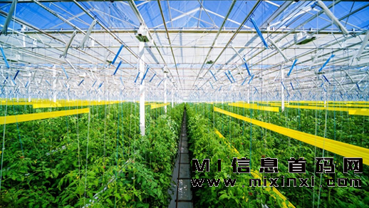 未来10年，农村居民可追逐的5个热门项目，实现财富增长，与土地和房产无关！-首码项目网