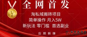 淘私域首码搬砖计划:轻松月入5W,每天仅需1小时无脑操作,后期自动躺赚!-首码项目网