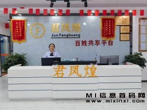 首码君凤煌是新的机会？它能提供哪些模式？-首码项目网