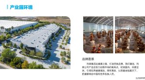考察亲证,披沙沥金已扩展到市场!-首码项目网
