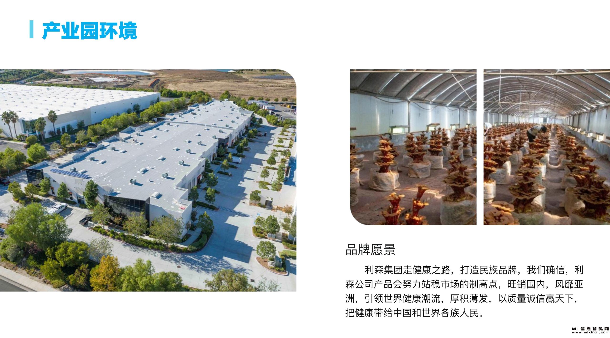 考察亲证，披沙沥金已扩展到市场！-首码项目网
