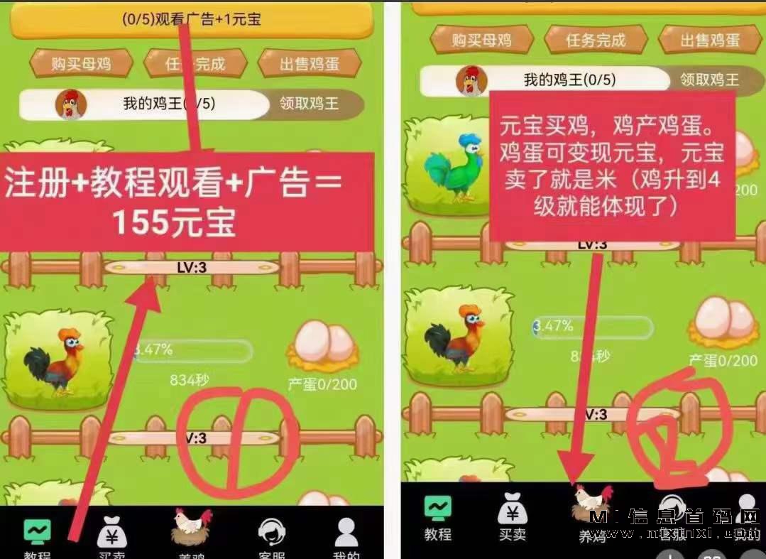 首码养鸡，注册就送50元宝，创新模式-首码项目网