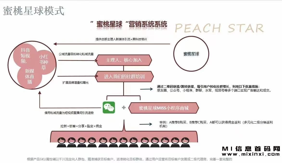 蜜桃星球，亲自指导您的操作步骤-首码项目网
