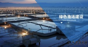 首码项目，绿色渔场建设APP前置大放送-首码项目网
