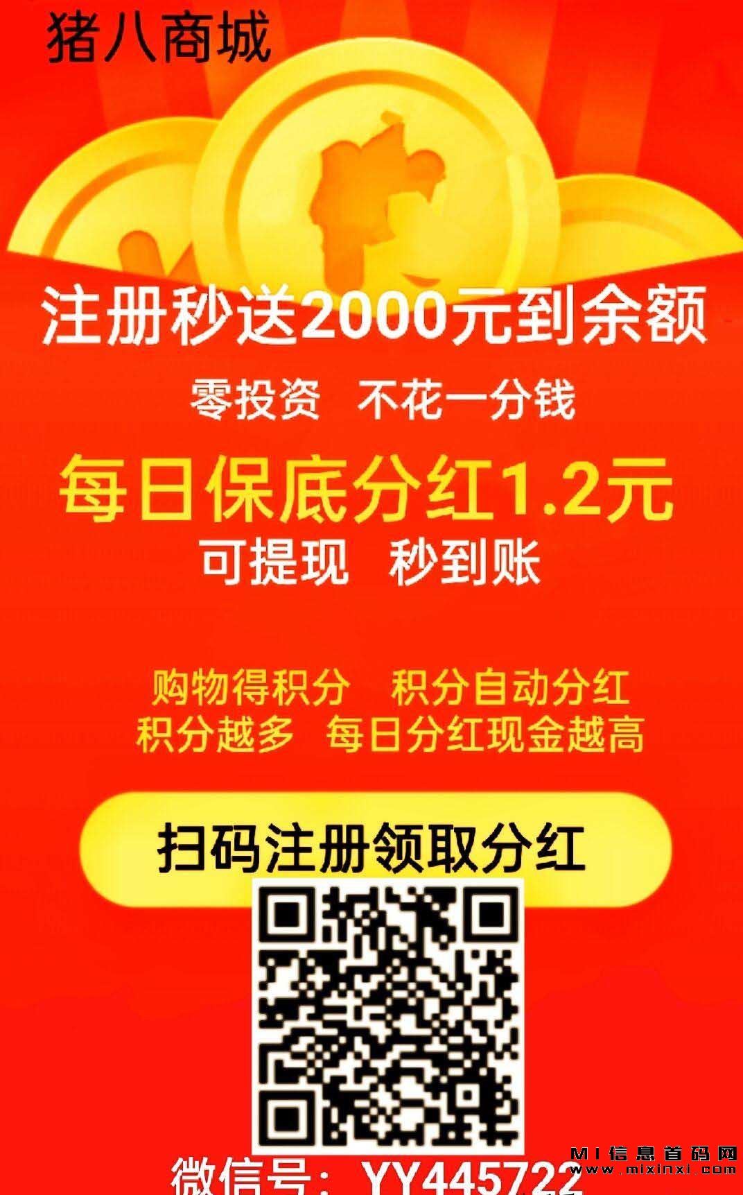官方首码，刚刚上线，君凤凰模式-首码项目网