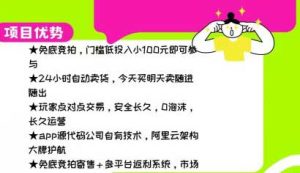 极致数藏数字商城，项目可控模式、流程解析-首码项目网