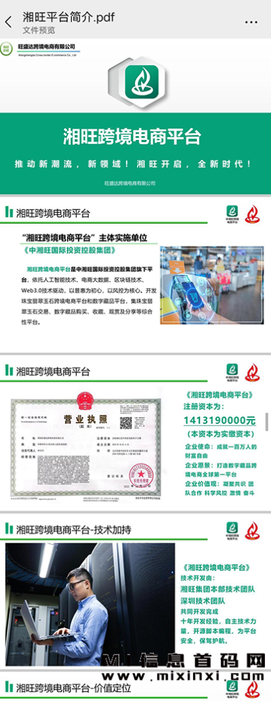 图片[2]-湘旺世界是一个充满活力和创意的潮玩模式平台，由湘旺平台精心打造-首码项目网