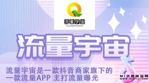 流量宇宙的首码项目，引起了业内的瞩目-首码项目网