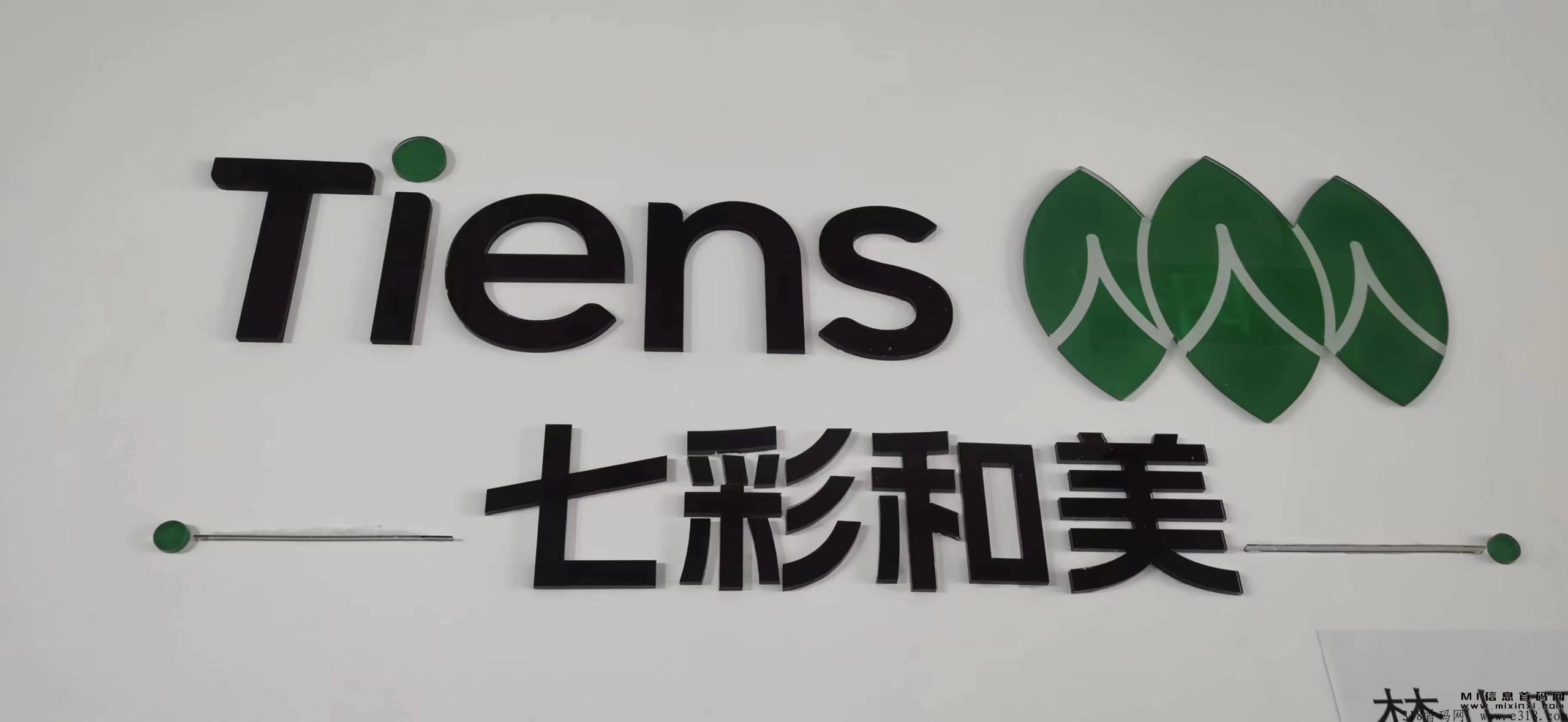 天狮七彩和美首码成功对接，标志着双方的合作已经进入了新的阶段-首码项目网