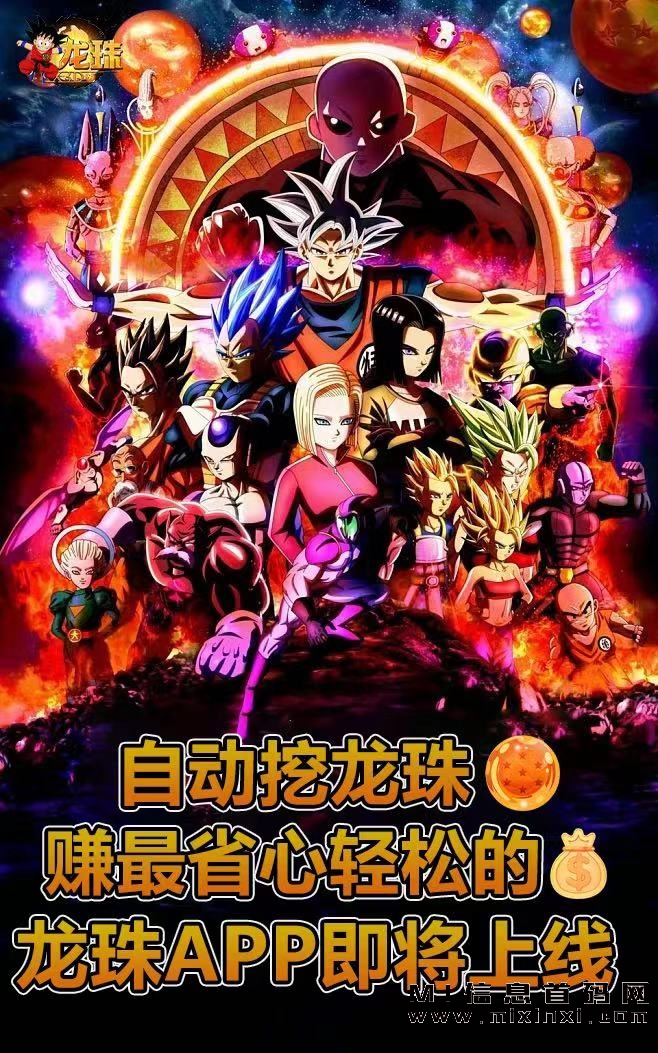 龙珠有点潮已震撼上线，潮玩模式，欢迎大小团队长对接-首码项目网
