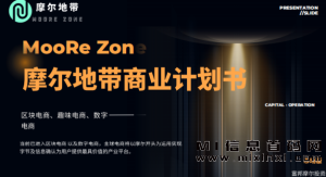 摩尔地带，商业模式和卓越的运营理念-首码项目网