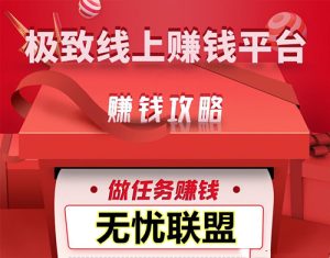 无忧联盟副业收益-首码项目网