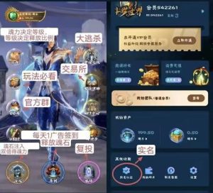 斗罗世界！首码扶持！不要再观望了！速度上车-首码项目网