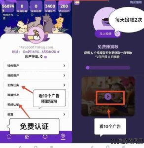 宠物猫首码,爱猫人士前来参加-首码项目网