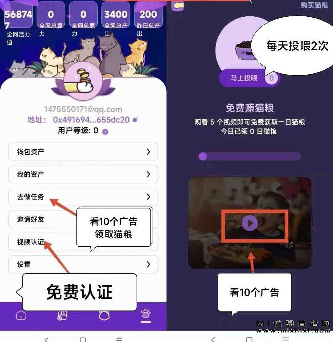 宠物猫首码，爱猫人士前来参加-首码项目网
