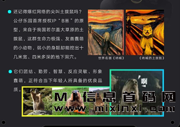 公仔乐园白鳄俱乐部站台，扶持拉满-首码项目网