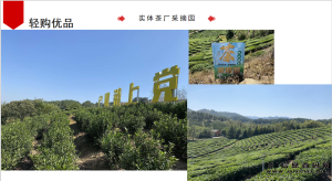 轻购优品全新的购物伙伴,创新模式备受瞩目,提供更优质、更便捷的购物体验。-首码项目网