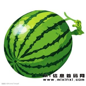 种西瓜日入百元-首码项目网
