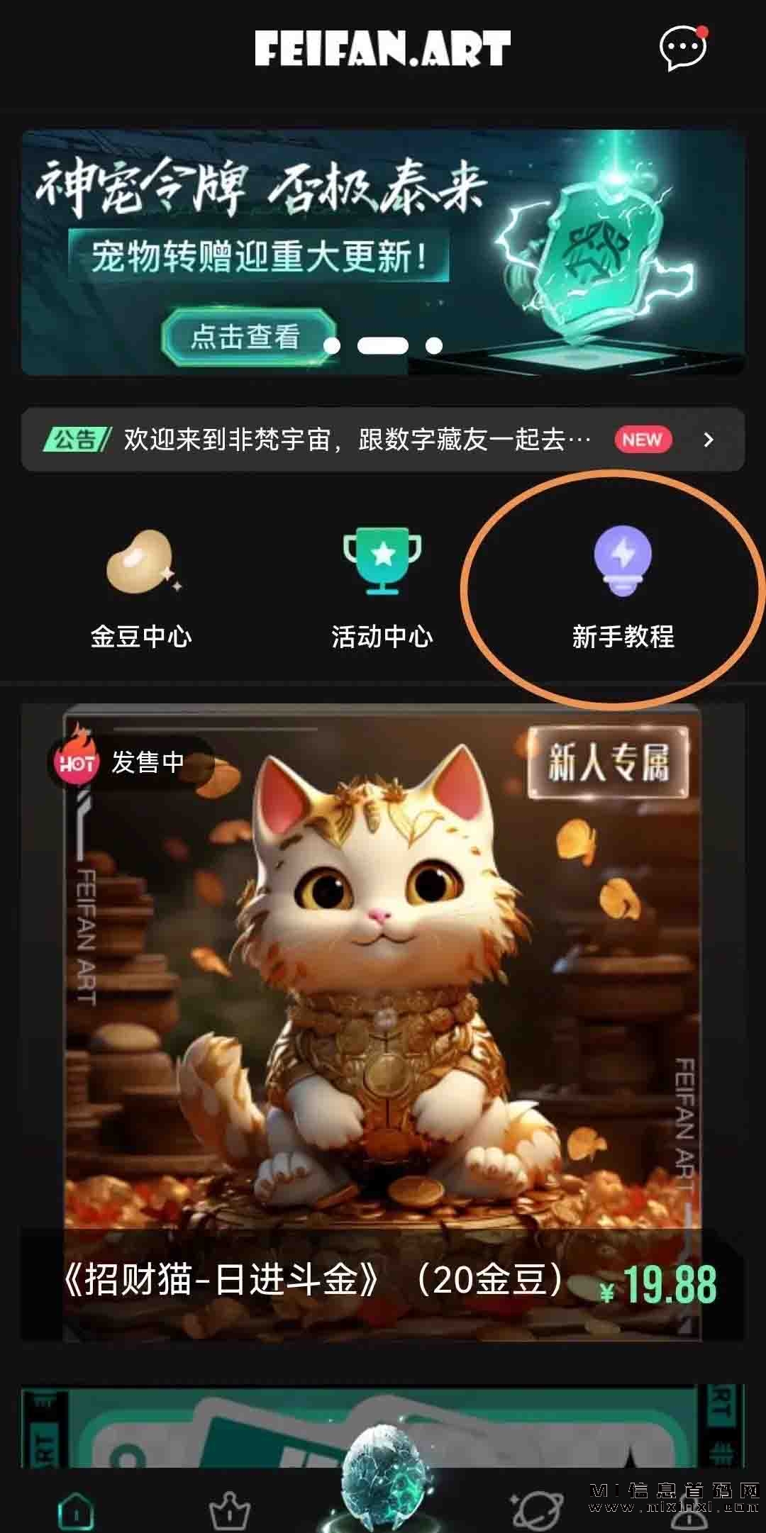 非梵艺术宠物价格真的期待！-首码项目网