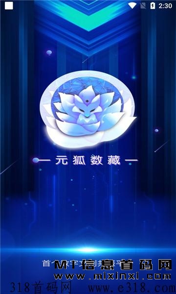 元狐数藏已经完成了战略布局，计划在2024年推出全新的项目。-首码项目网