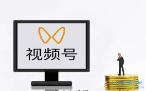 番茄市场空白,团队裂变收益,0撸纯绿色长久项目-首码项目网