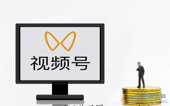 番茄市场空白，团队裂变收益，0撸纯绿色长久项目-首码项目网