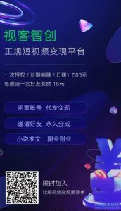 【视客智创】新选择！零撸可投！-首码项目网