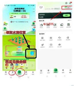 西皮购种植之旅，种瓜得瓜，让每一颗西瓜都成为你收艺-首码项目网