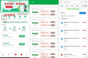视客智创豆音代发作品，操作简单，每天赚点零花钱-首码项目网