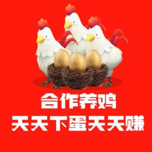 JD合作养鸡,零撸简单,投资收益妥妥可见,提现APP直接提就行了-首码项目网