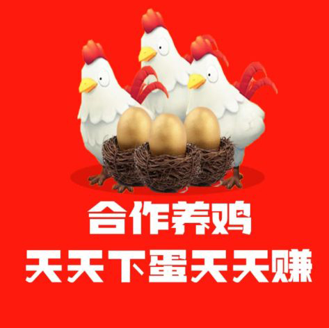 JD合作养鸡，零撸简单，投资收益妥妥可见，提现APP直接提就行了-首码项目网