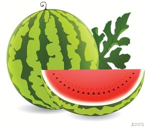 种西瓜赚钱零撸项目日入百元-首码项目网