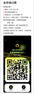 金来柚,纯手工制作,跨年巨作!只需24小时启动一次-首码项目网