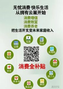 云巢国际模式的核心是循环消费，线下实体商家和老百姓息息相关的刚需服务-首码项目网