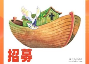 挪亚首码零撸，看广告赚，免费购物，做团队好时机-首码项目网