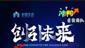 起盟生活，携手两个独立达到一星级的团队长，全程代3扶持！-首码项目网