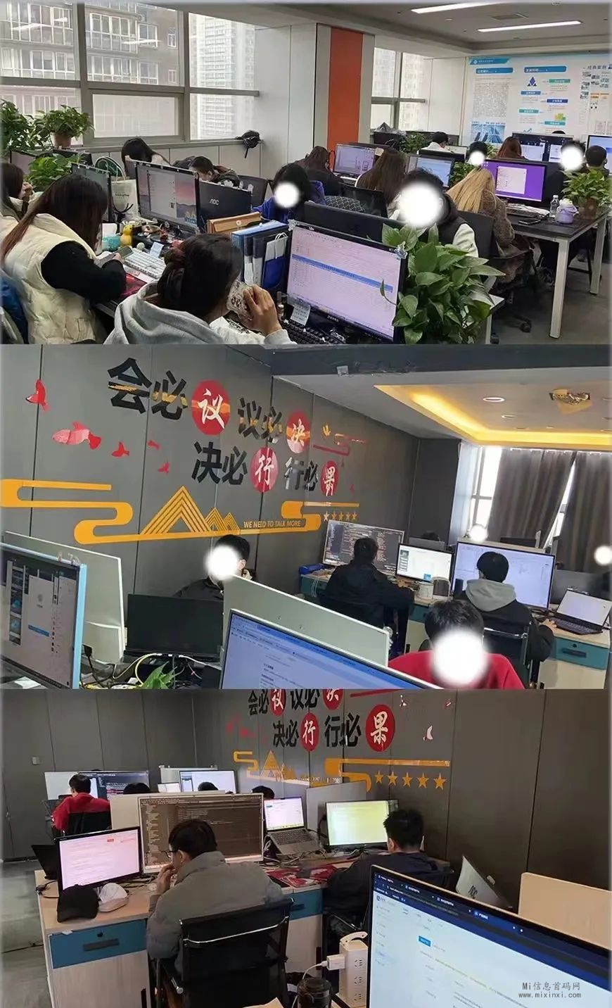 『星际Federation』上线首轮福利，惊喜来袭！-首码项目网