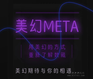 美幻 META 期待与你的相遇...追风而行-首码项目网