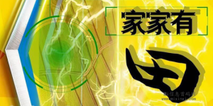 家家有田如何收益,简单点来说-首码项目网