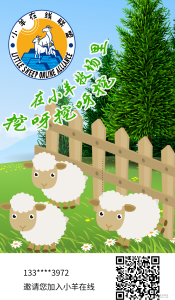 小羊在线，项目首码对接-首码项目网