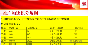 中九新超计划将在月底正式上线，与团队对接-首码项目网