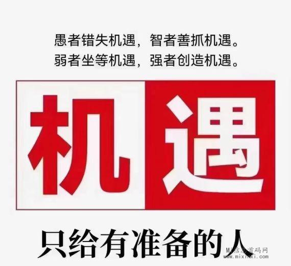 网创IP项目流量还不错-首码项目网