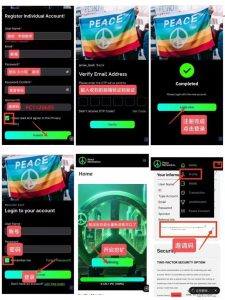 前排Peace Network新相目,没注册的可以搞快点哟-首码项目网