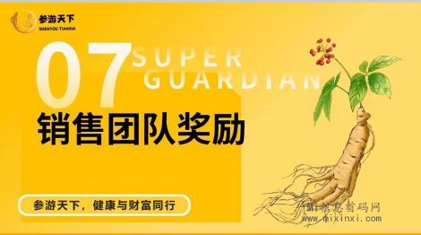 参游天下是一款综合性的游戏，多元化合成挑战-首码项目网