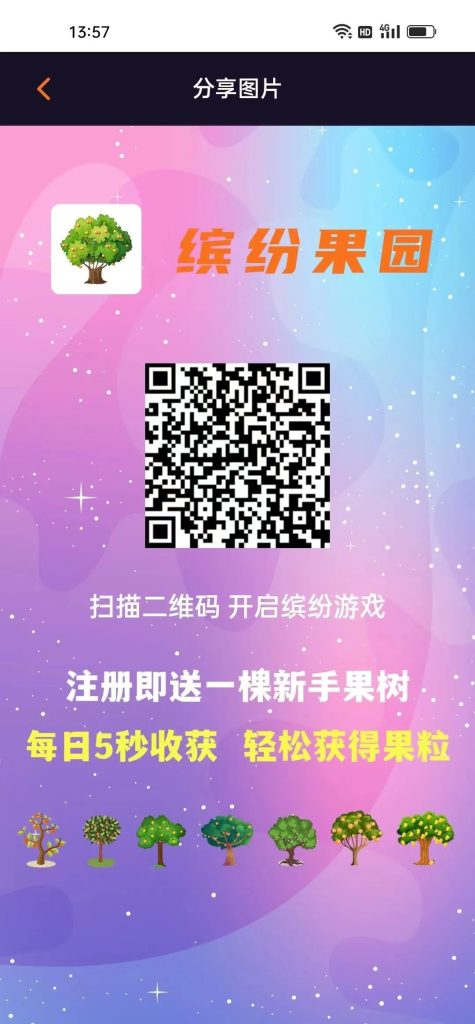 20240209262065050506