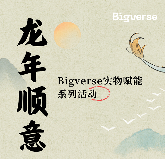 Bigverse新年活动火热进行中！签到计划，第4天！-首码项目网