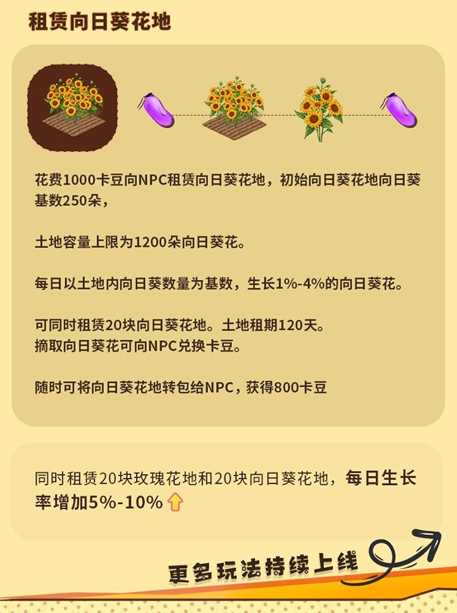 20240218605560650650